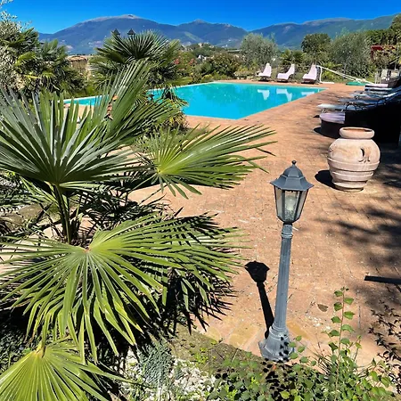 3 Infinity Pool, Extensive Grounds With Shrubs - Flowers, Jacuzzi - Sleeps 4 *