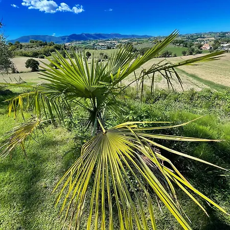 3 Infinity Pool, Extensive Grounds With Shrubs - Flowers, Jacuzzi - Sleeps 4